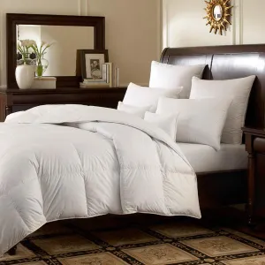 Logana 800  Siberian Goose Down Comforter by Downright