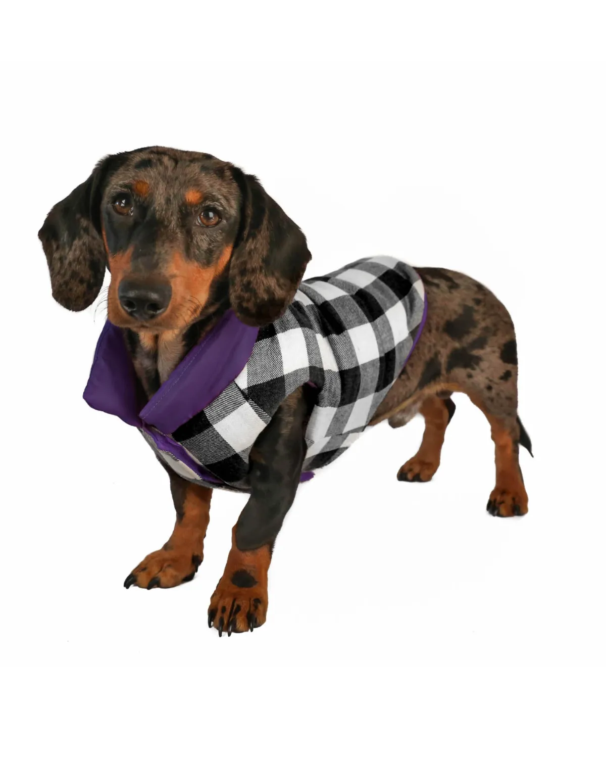 Reversible Puffer Dog Coat - Violet Purple