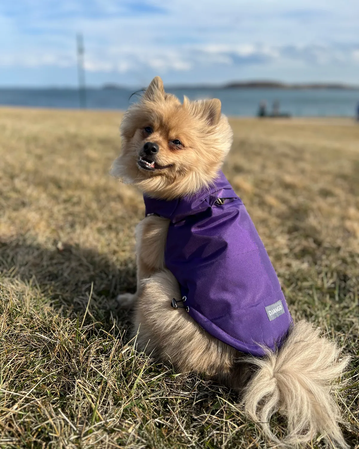 Reversible Puffer Dog Coat - Violet Purple